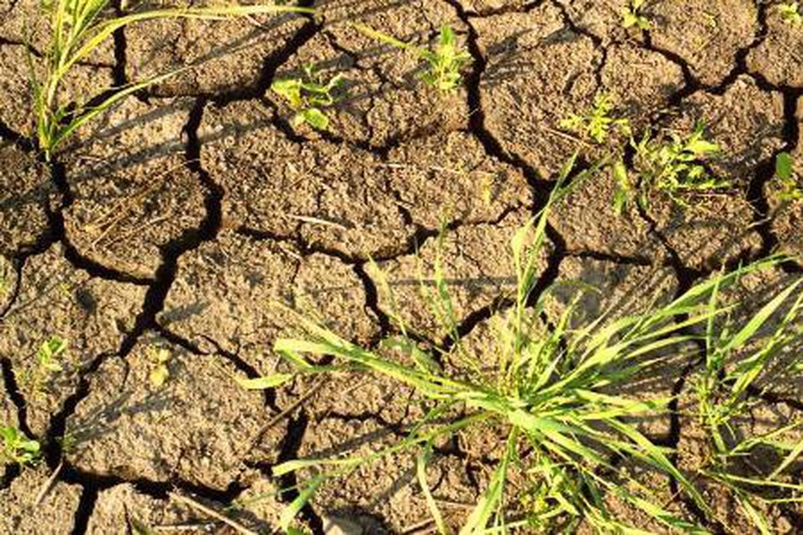 Рынок может рухнуть из-за беспрецедентной засухи в США

 - В Мире