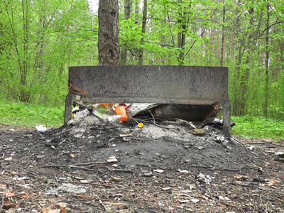 Горячая линия ТТС: Будут ли обновляться места отдыха в лесопарковой зоне? - В Висагинасе