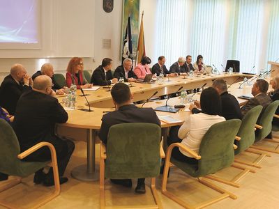 Региону ИАЭС предложено обсудить возможность создания солнечной электростанции - В Висагинасе