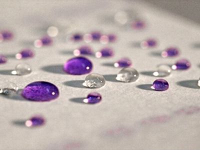 Американскими учёными создана водоотталкивающая бумага - Наука и здоровье