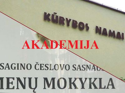 Для начала – врио. Конкурс на директора Академии творчества и искусств объявят позже (видео) - В Висагинасе