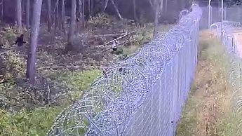 Агрессивные нелегалы забросали пограничников камнями