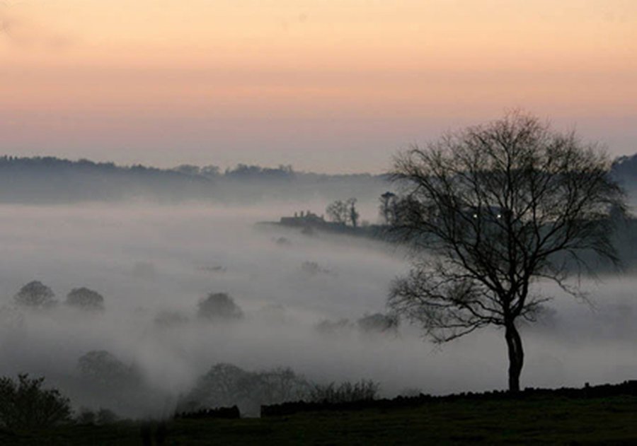 Роландас Паксас: Новая АЭС в Литве — как «ежик в тумане»
 - Энергетика