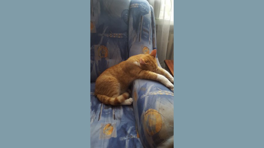 Участник №2 конкурса «Что бы это значило?» - Конкурсы для читателей