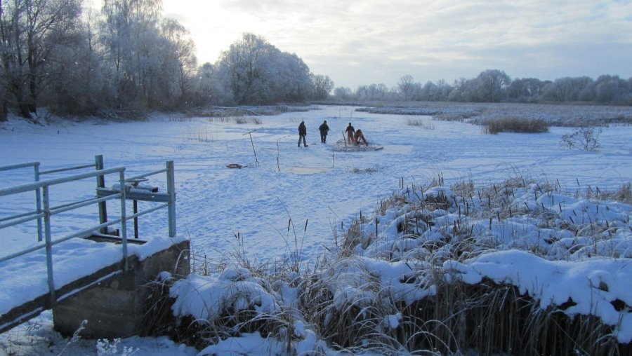В Игналинском районе спасли тонувшего мужчину - Литва и страны Балтии