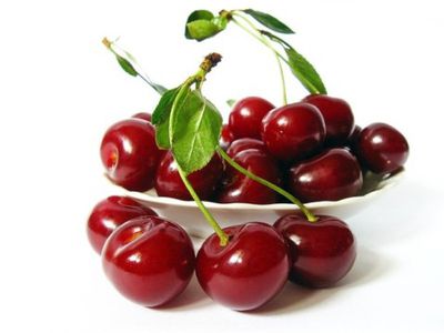 4 продукта – хита июня - Наука и здоровье