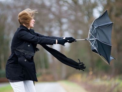 Спасатели прогнозируют в Литве сильный ветер - Литва и страны Балтии