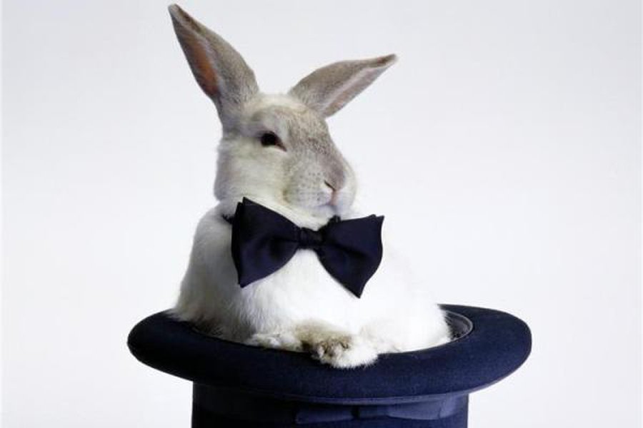 Наступил год металлического Кролика                                 - Хобби, отдых и развлечения