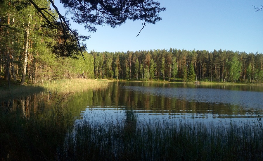 Погода в м озерах. Озеро Радицкое Брянск. Озеро Висагинас. Висагинас Литва озеро. Окрестности Висагинаса.